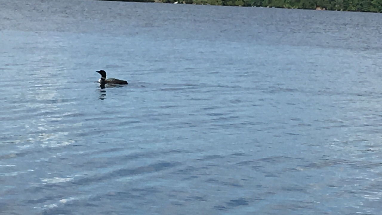 Photo of Outdoor in Rideau Lakes