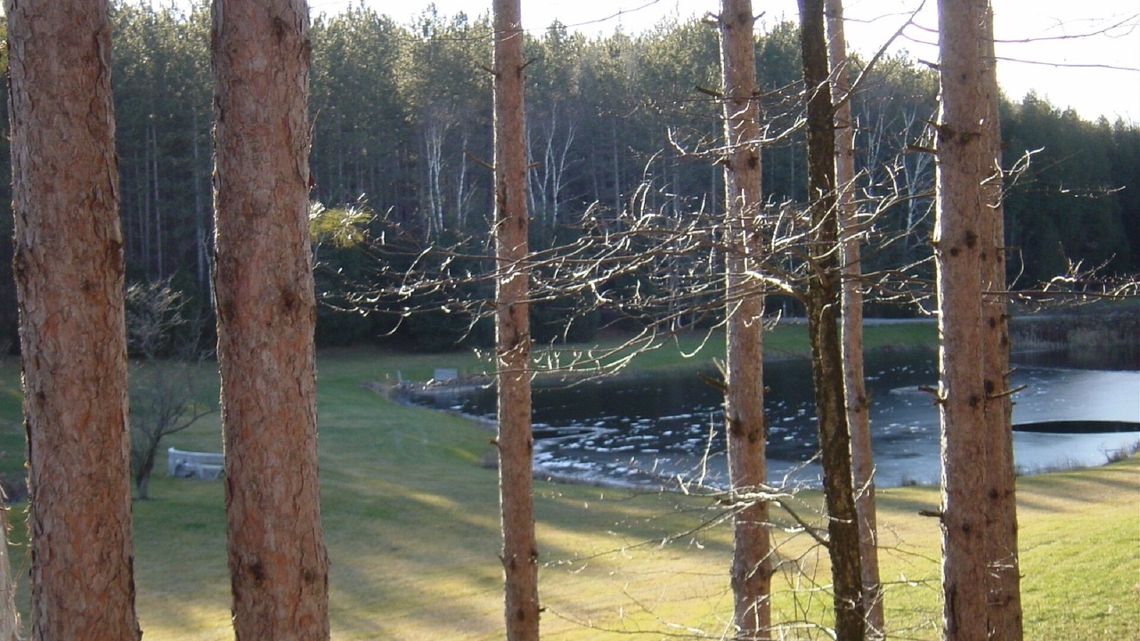 Photo of Outdoor in Durham Region