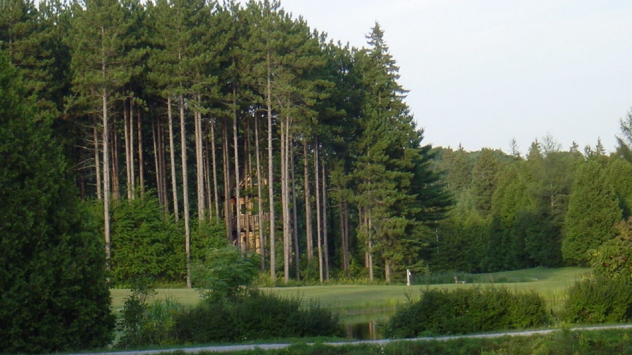 Photo of Others in Durham Region