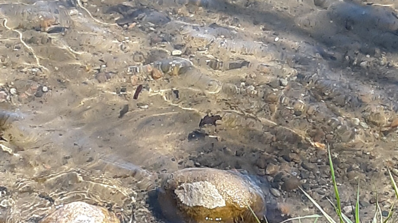 Photo of Outdoor in Osage