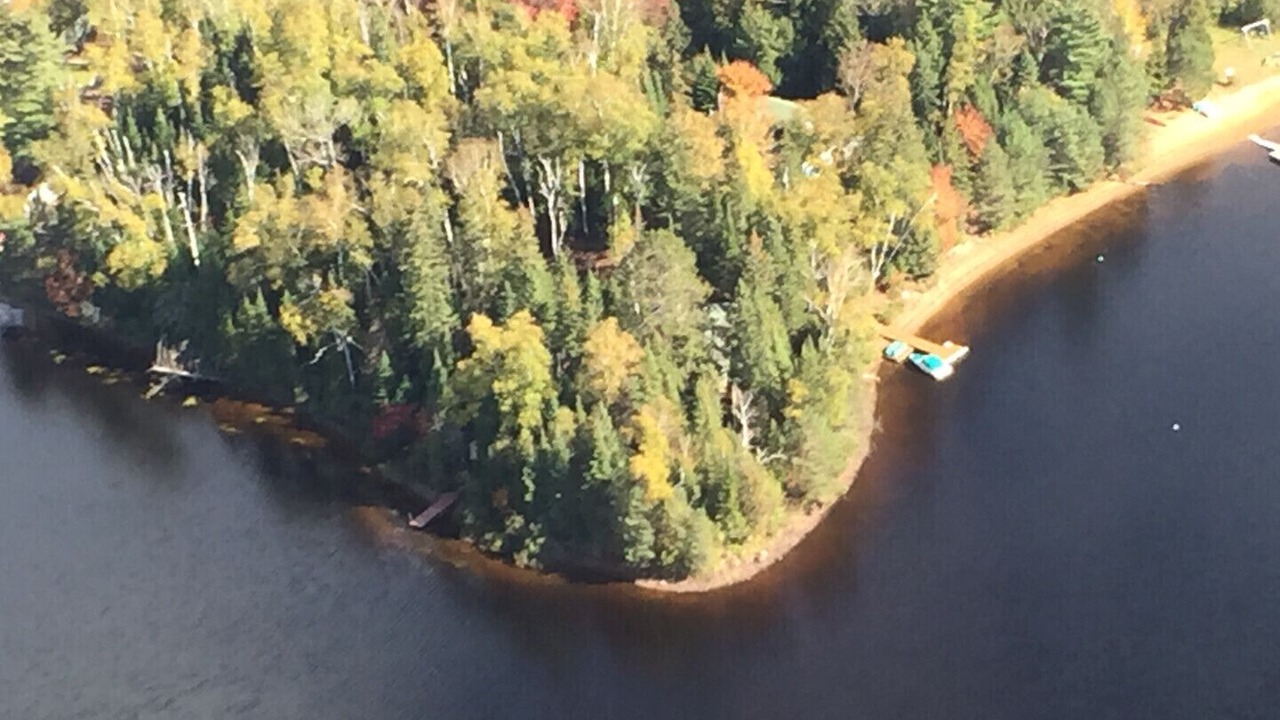Photo of Outdoor in Algonquin Highlands