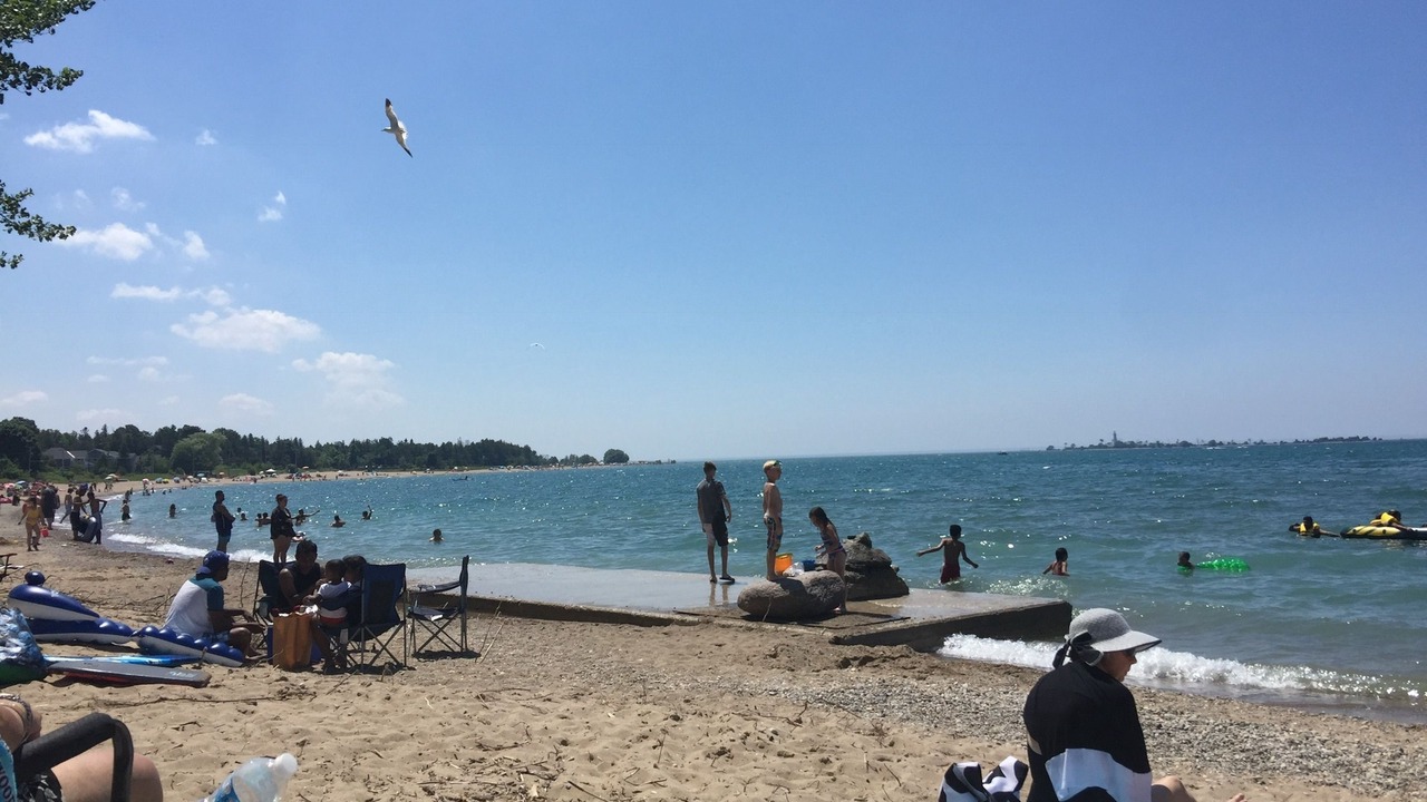 Photo of Others in Southampton