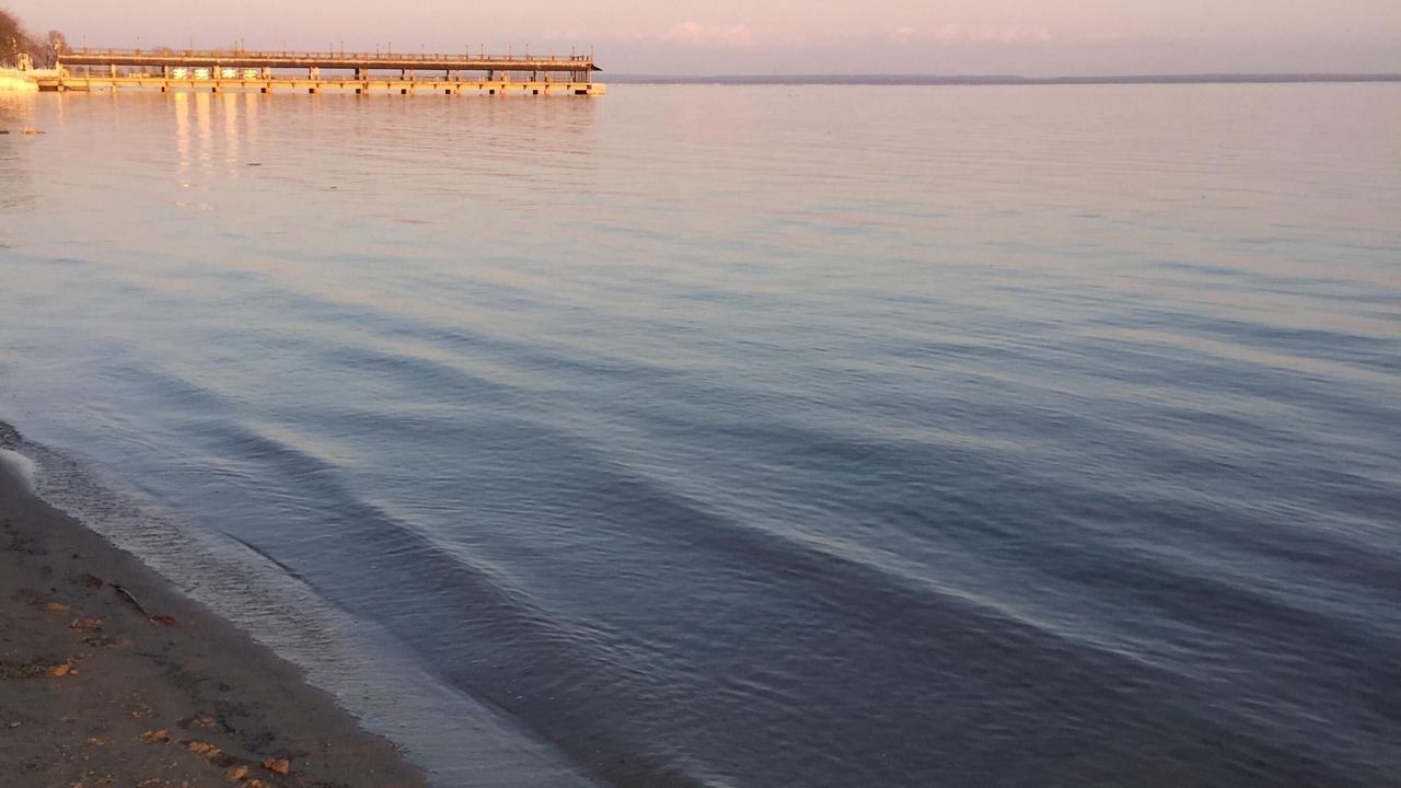 Photo of Others in Crystal Beach