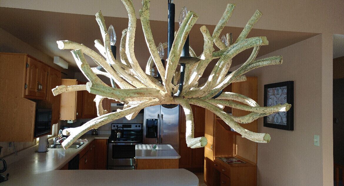 Photo of Kitchen in Cumberland Beach