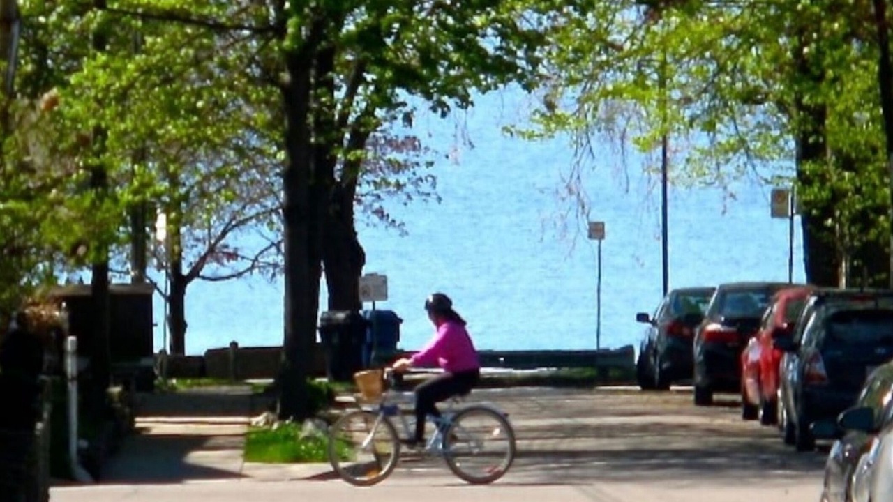 Photo of Others in The Beaches