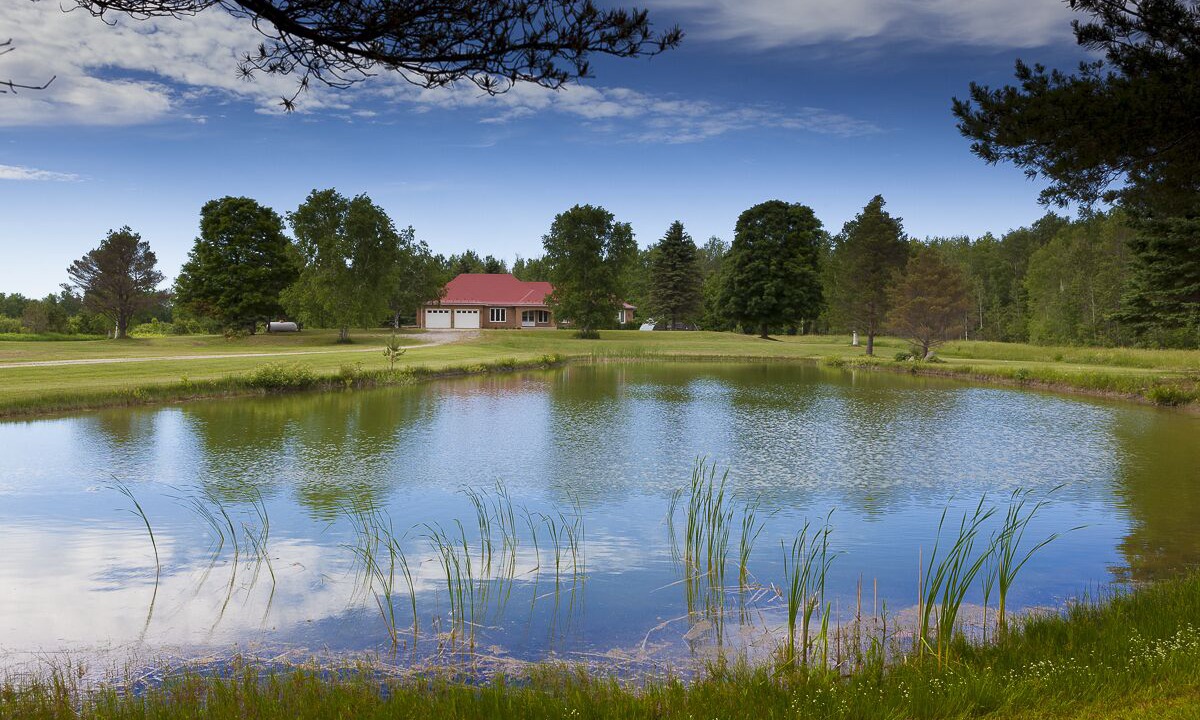 Photo of Outdoor in Clearview