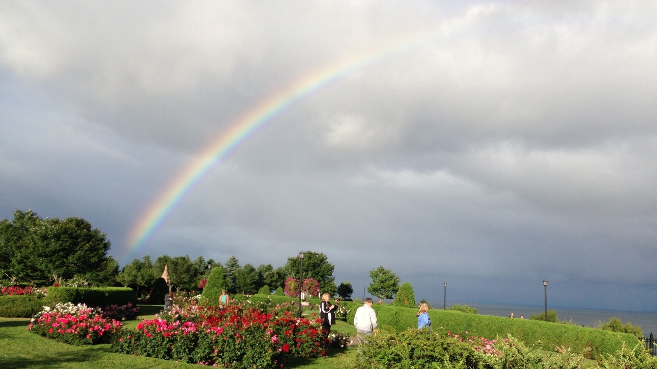 Photo of Outdoor in Palmers