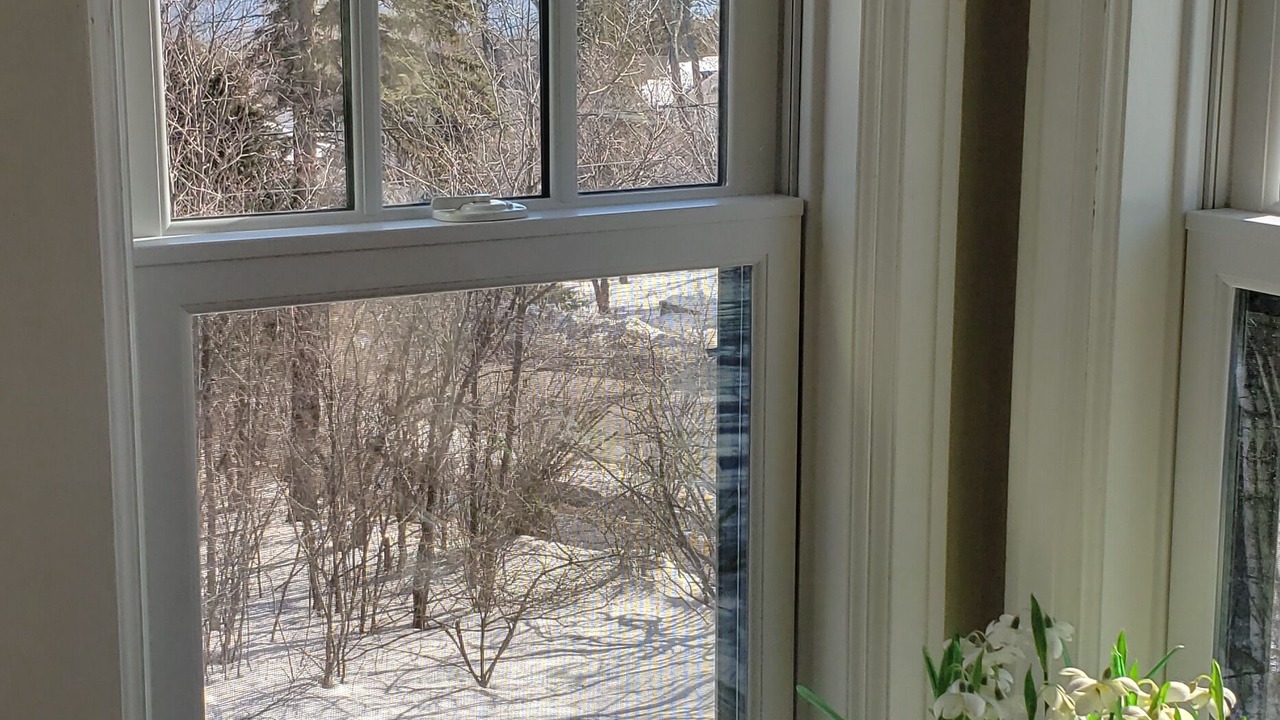 Photo of Outdoor in Congdon Park