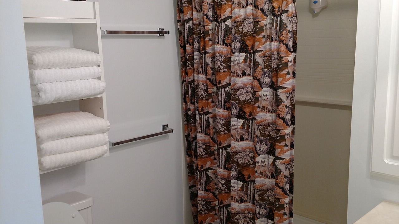 Photo of Bathroom in Park Rapids