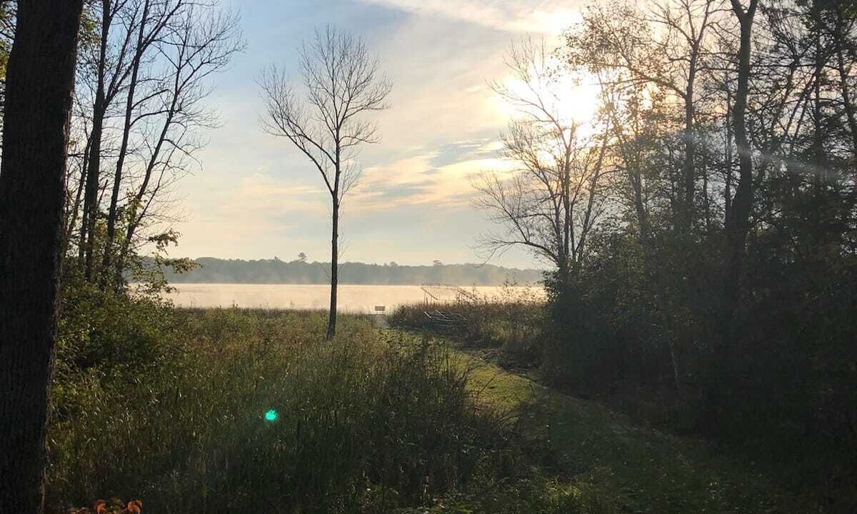 Photo of Outdoor in Park Rapids