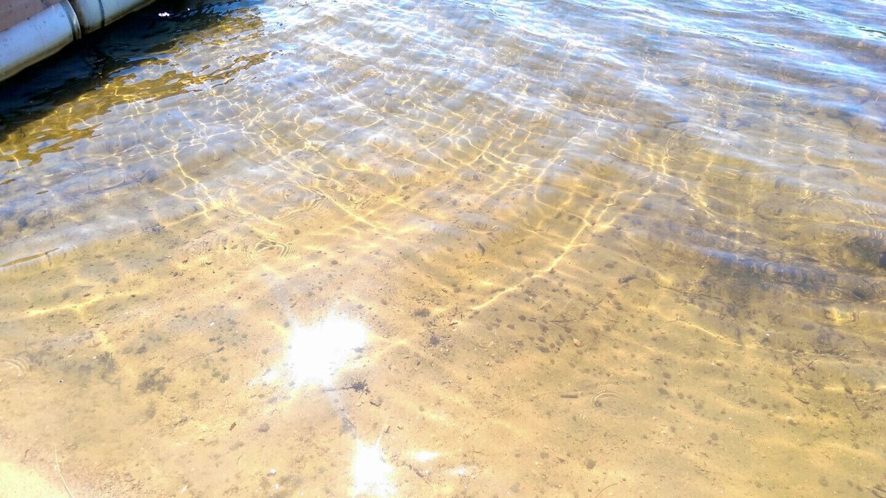 Photo of Others in Madawaska Valley