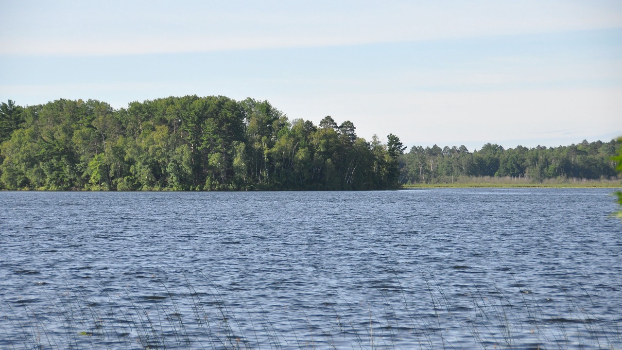Photo of Others in Pine River
