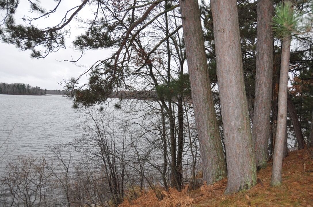 Photo of Outdoor in Pine River