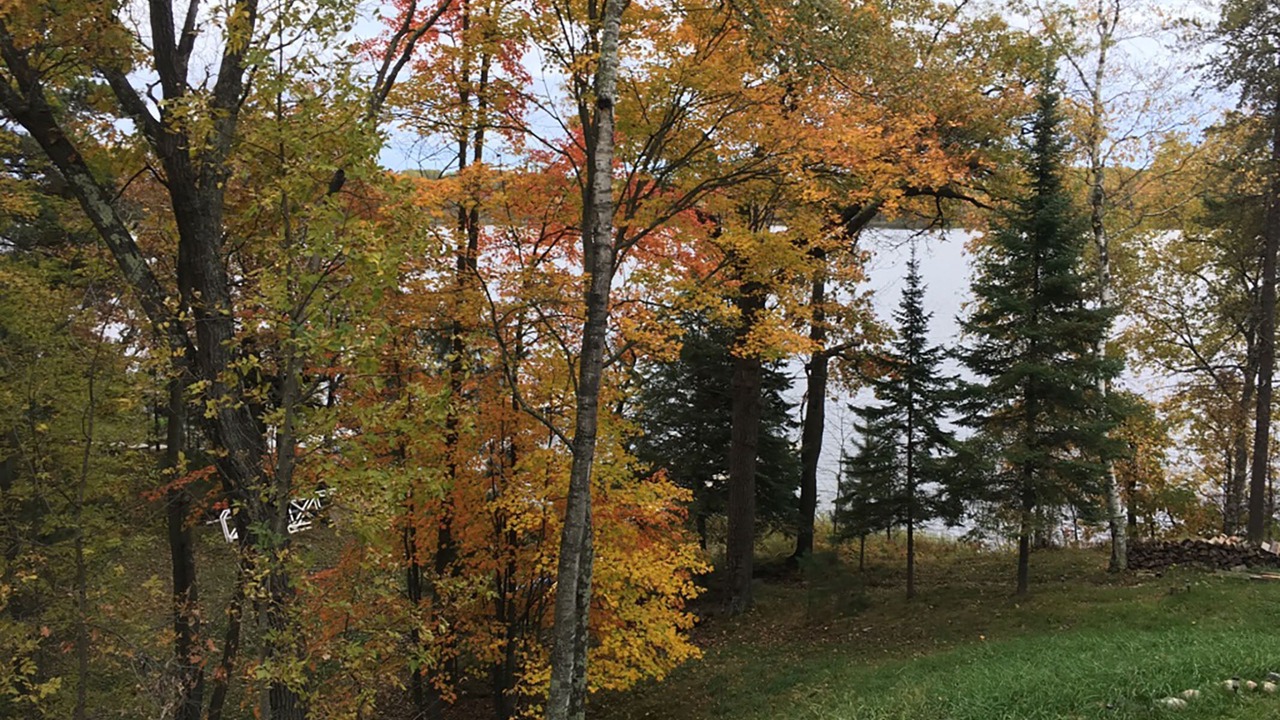 Photo of Outdoor in Pine River
