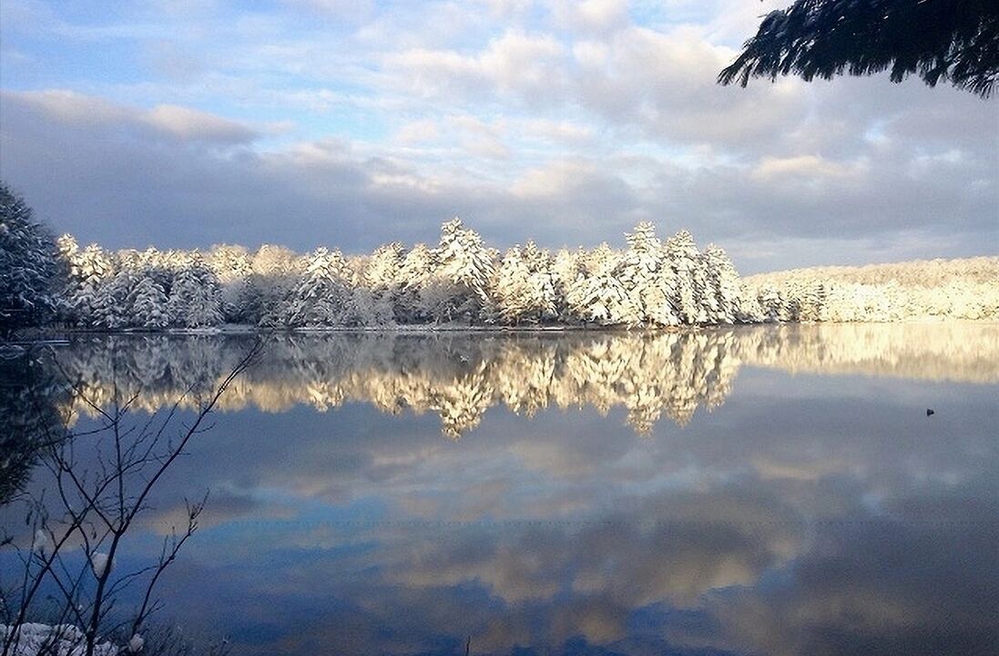 Photo of Others in Lake of Bays