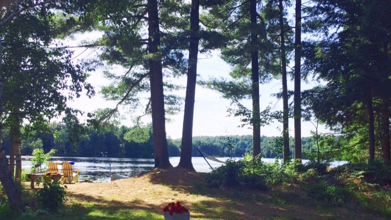 Photo of Others in Lake of Bays