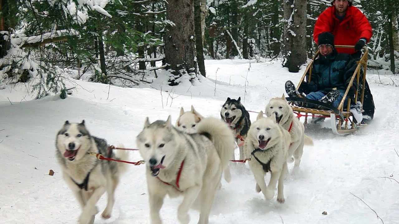 Photo of Others in Lake of Bays