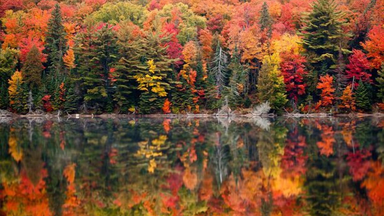 Photo of Outdoor in Lake of Bays