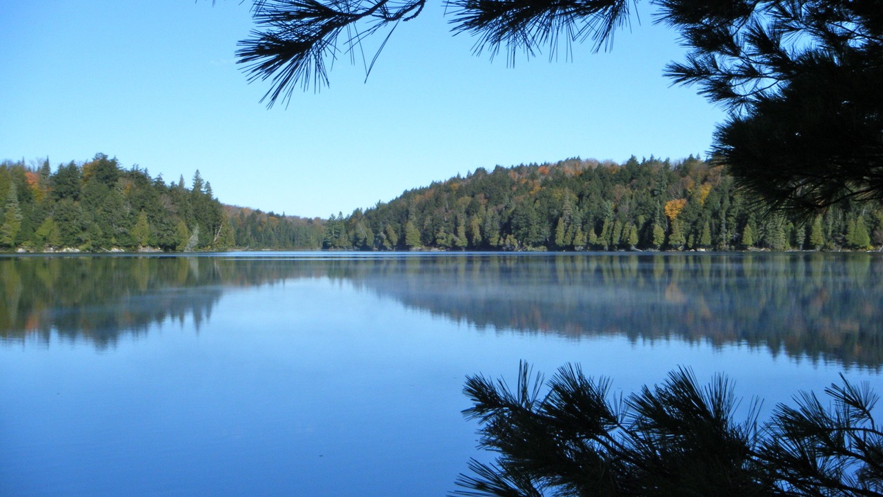 Photo of Others in Lake of Bays