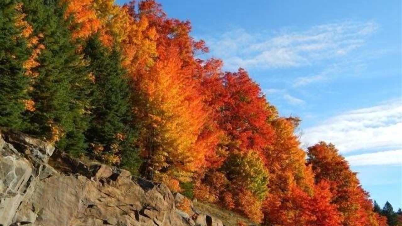 Photo of Others in Lake of Bays