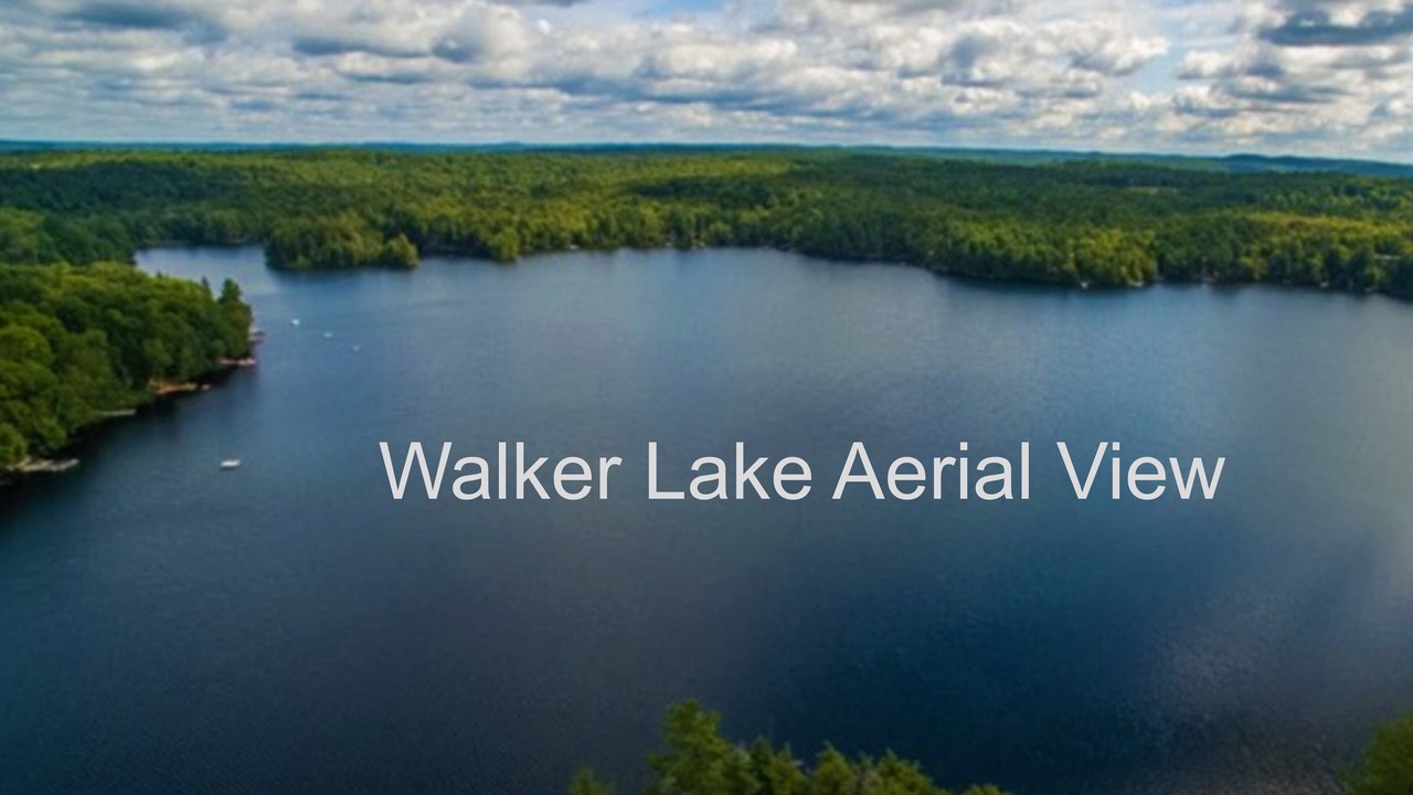Photo of Outdoor in Lake of Bays