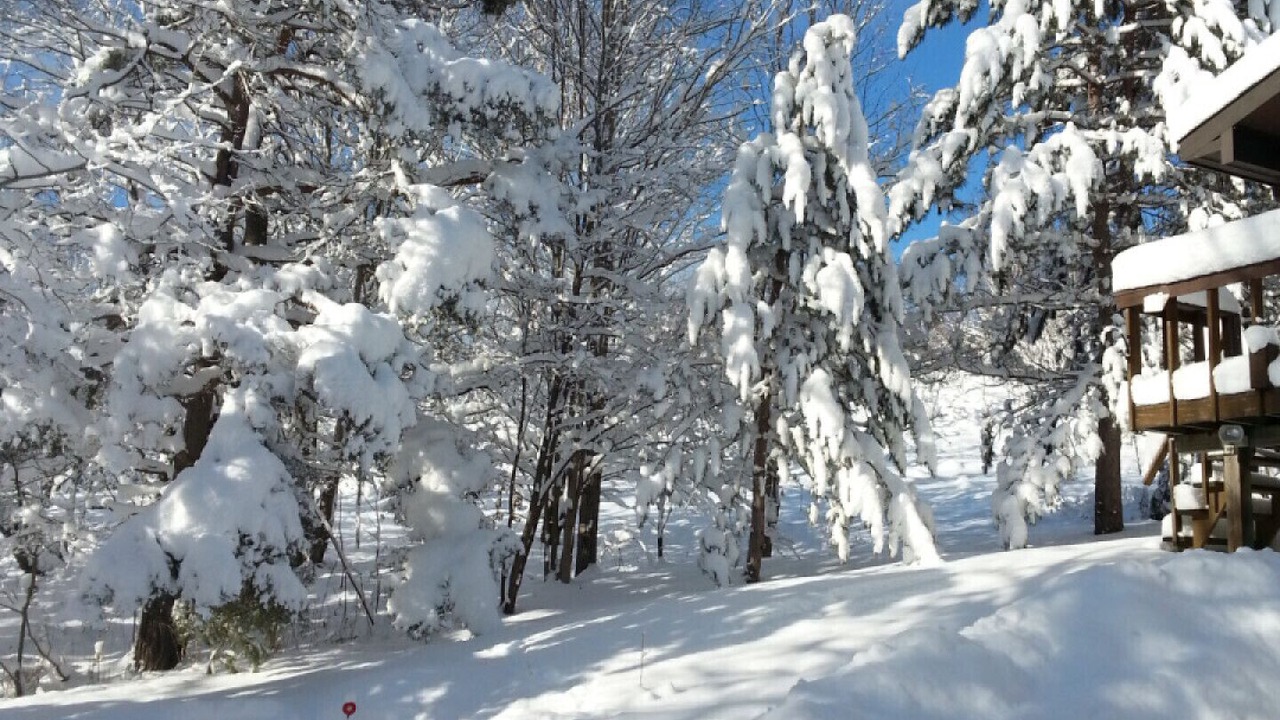 Photo of Others in Utterson