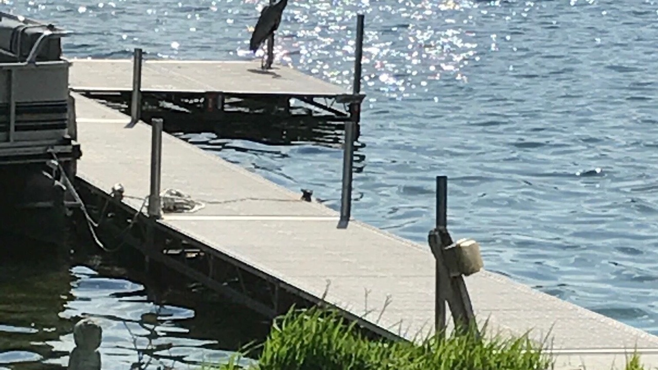 Photo of Outdoor in Roseville
