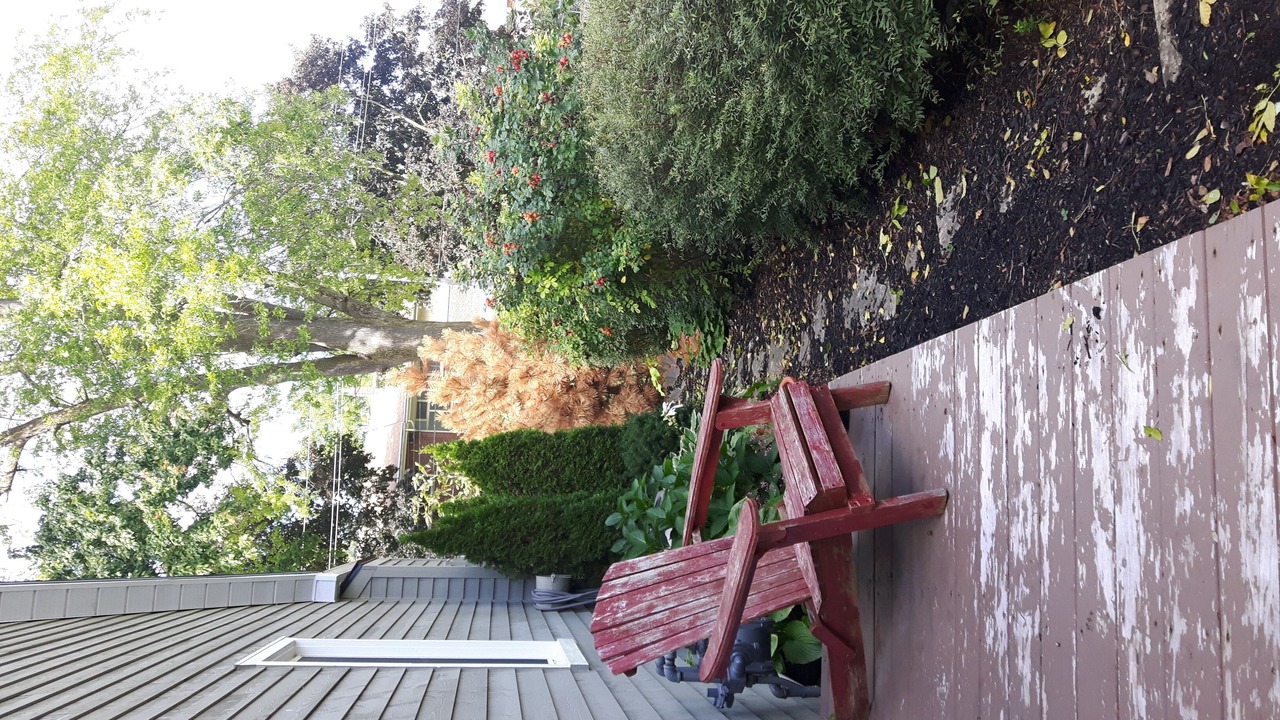 Photo of Outdoor in Palmerston
