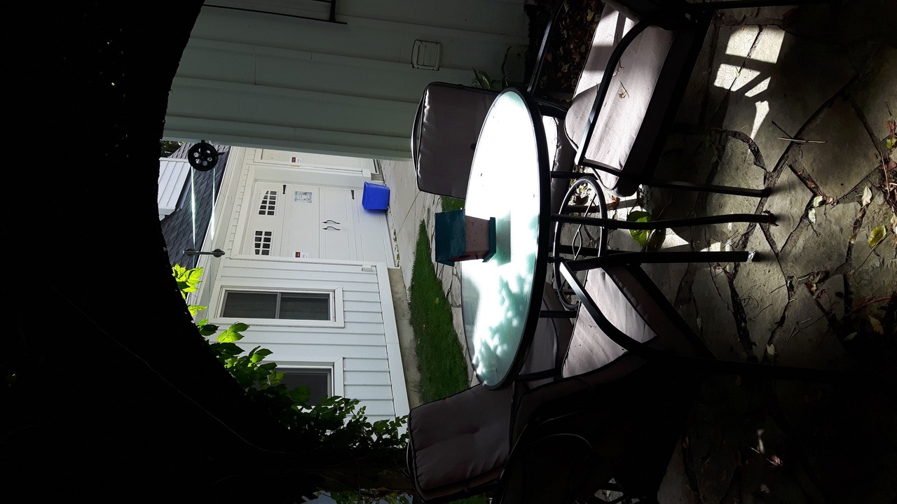 Photo of Outdoor in Palmerston