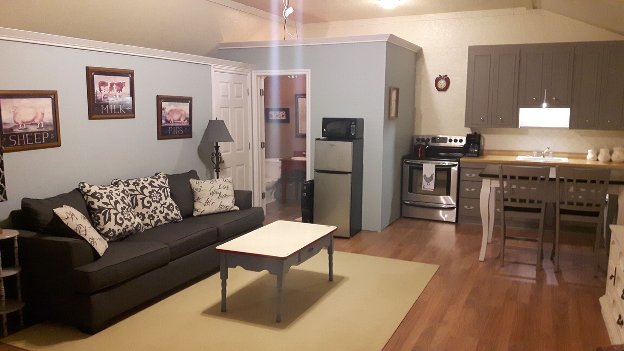 Photo of Livingroom in Palmerston