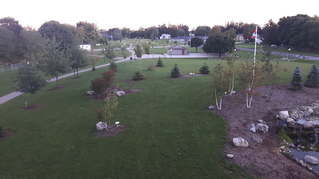 Photo of Outdoor in Palmerston