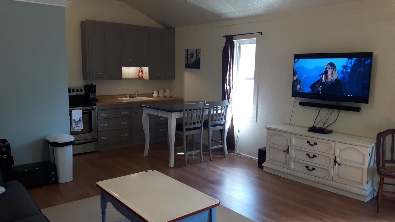 Photo of Livingroom in Palmerston