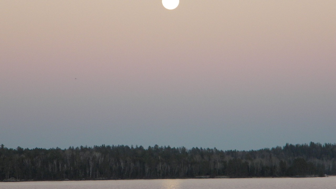 Photo of Others in Crane Lake