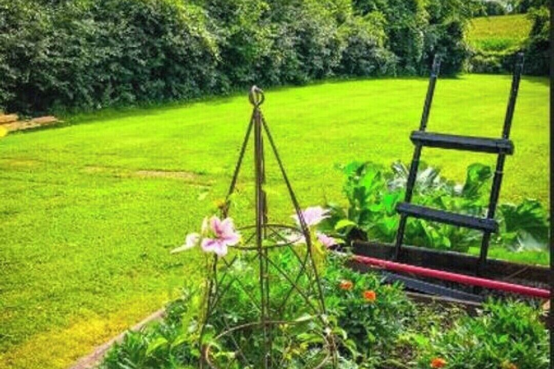 Photo of Outdoor in Upsala
