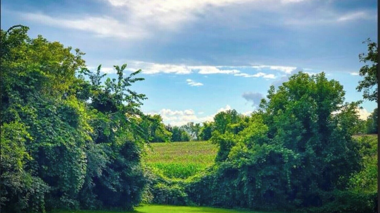 Photo of Others in Upsala