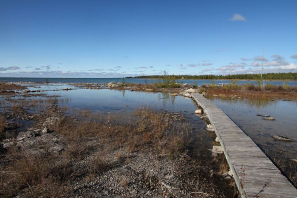 Photo of Outdoor in Northern Bruce Peninsula