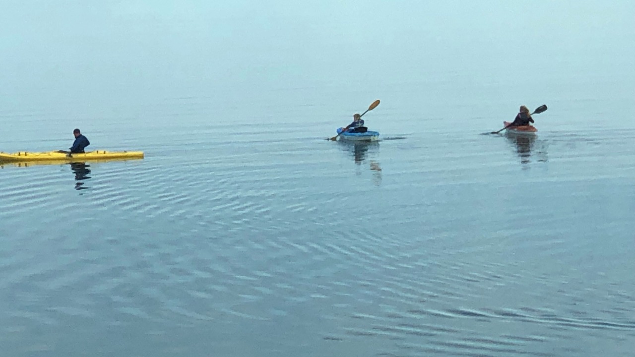 Photo of Others in Tobermory