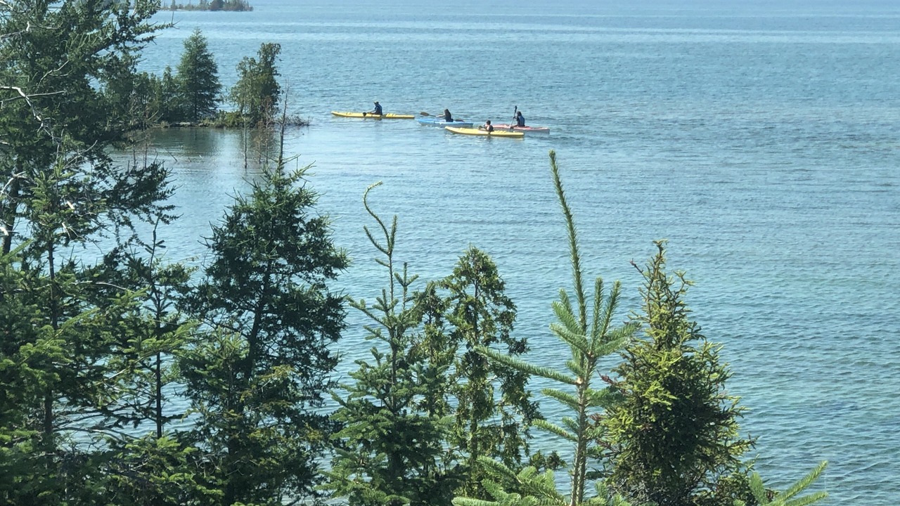 Photo of Others in Tobermory