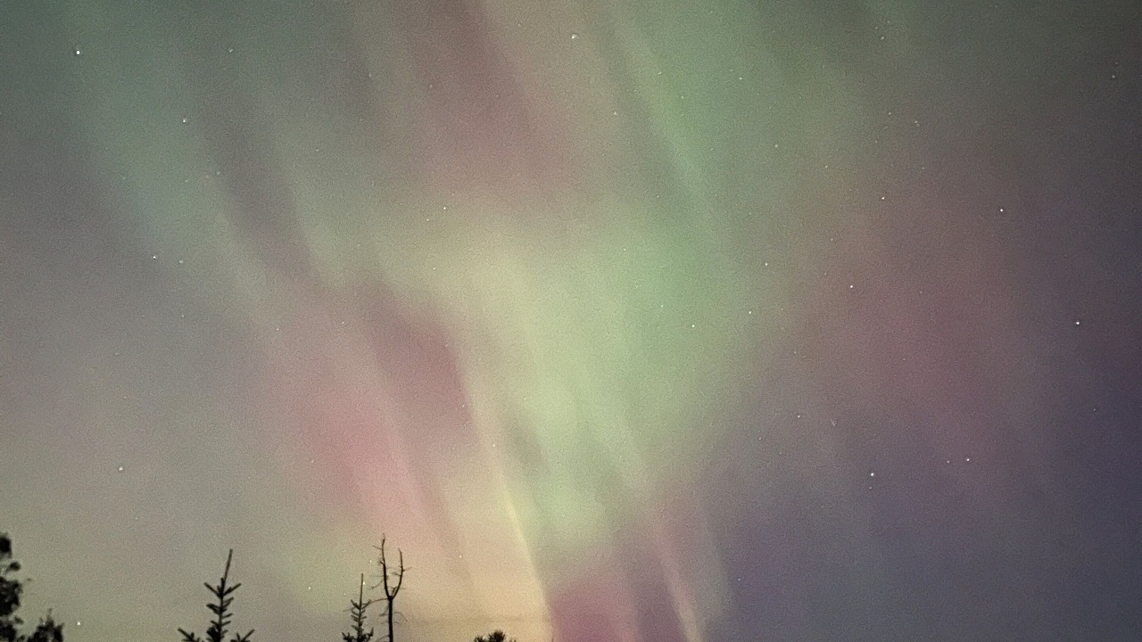 Photo of Others in Tobermory