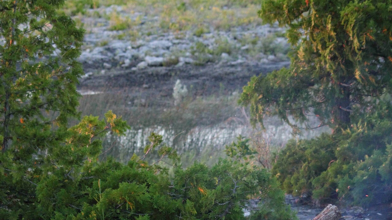 Photo of Others in Tobermory