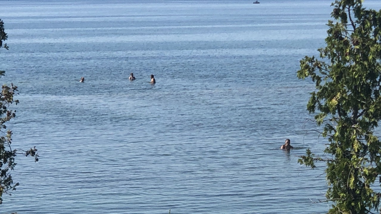 Photo of Others in Tobermory