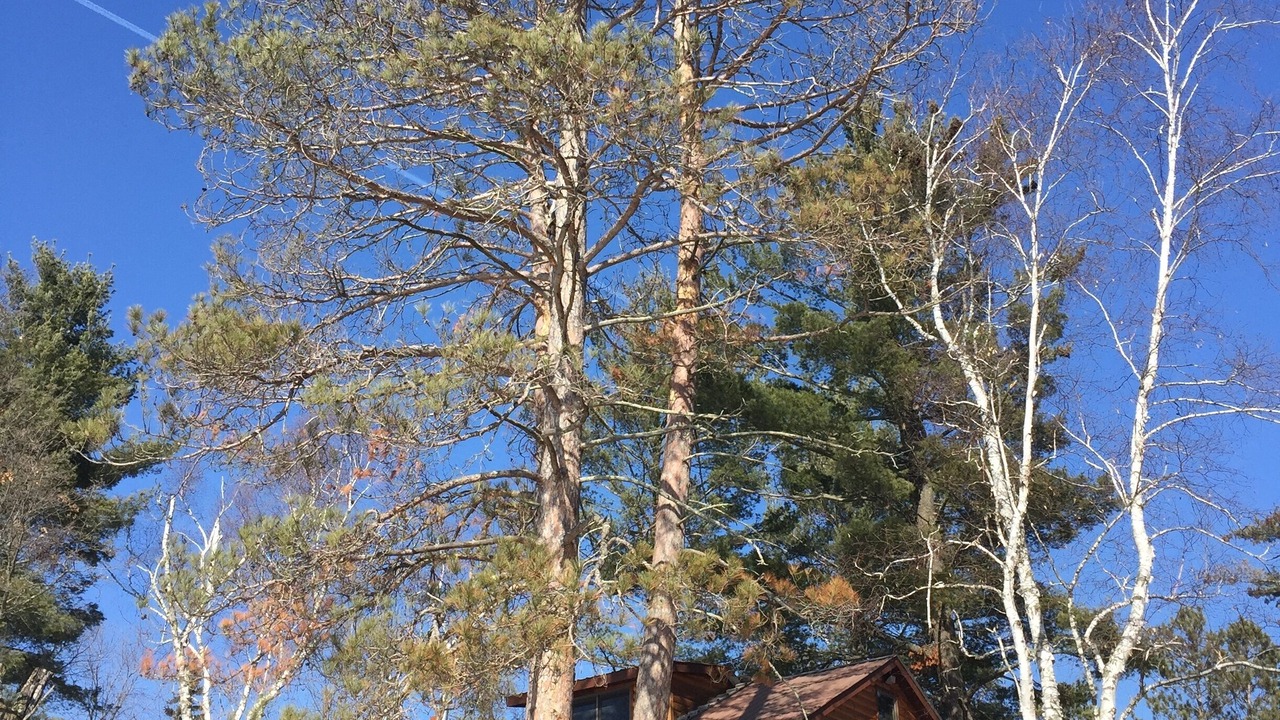 Photo of Outdoor in Outing