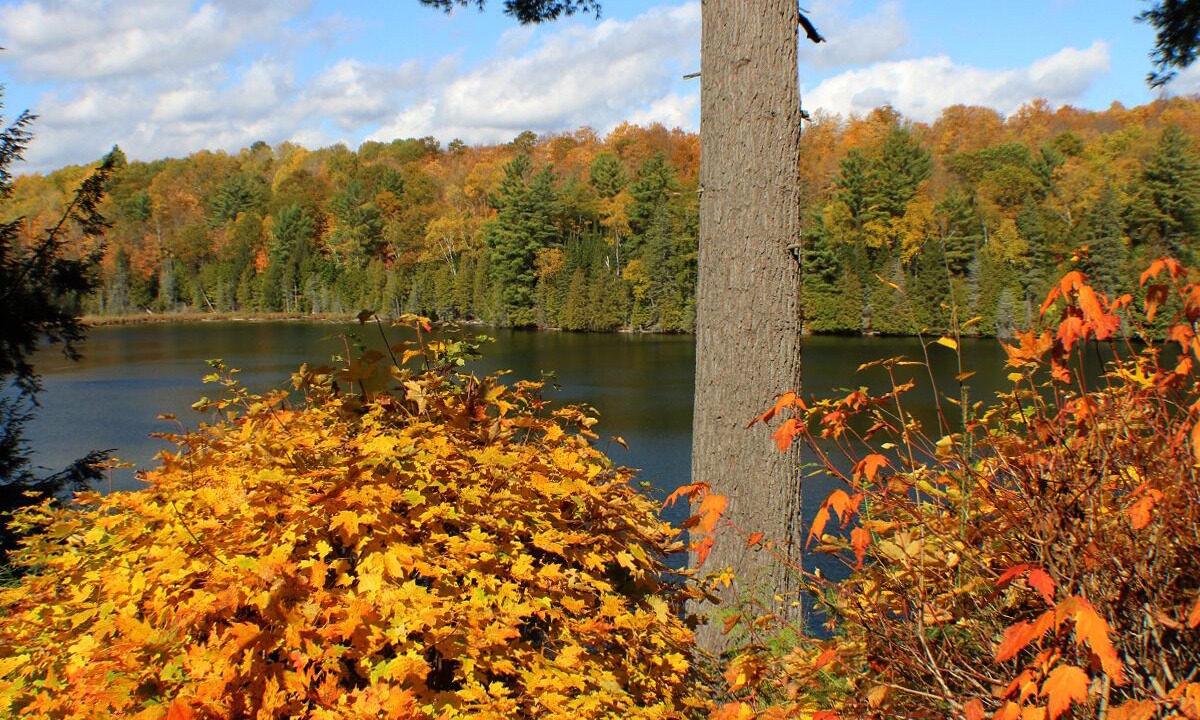 Photo of Outdoor in Trent Lakes