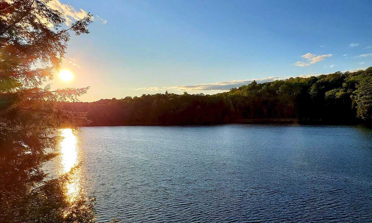 Photo of Others in Trent Lakes