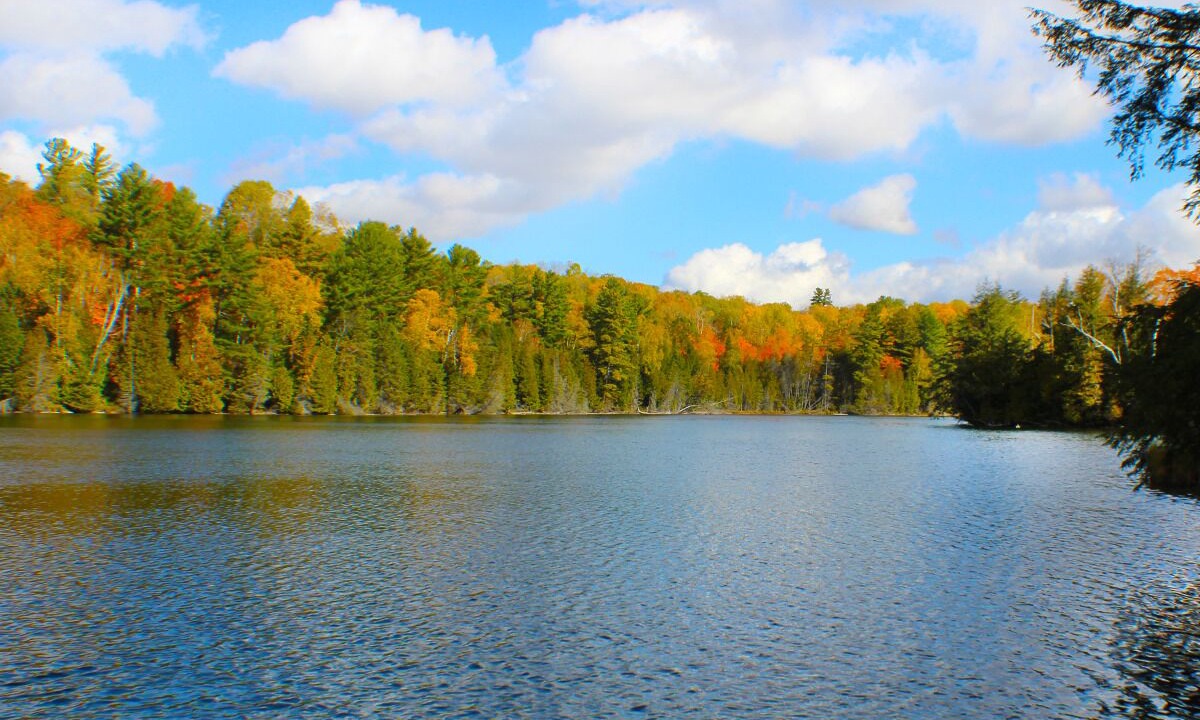 Photo of Outdoor in Trent Lakes