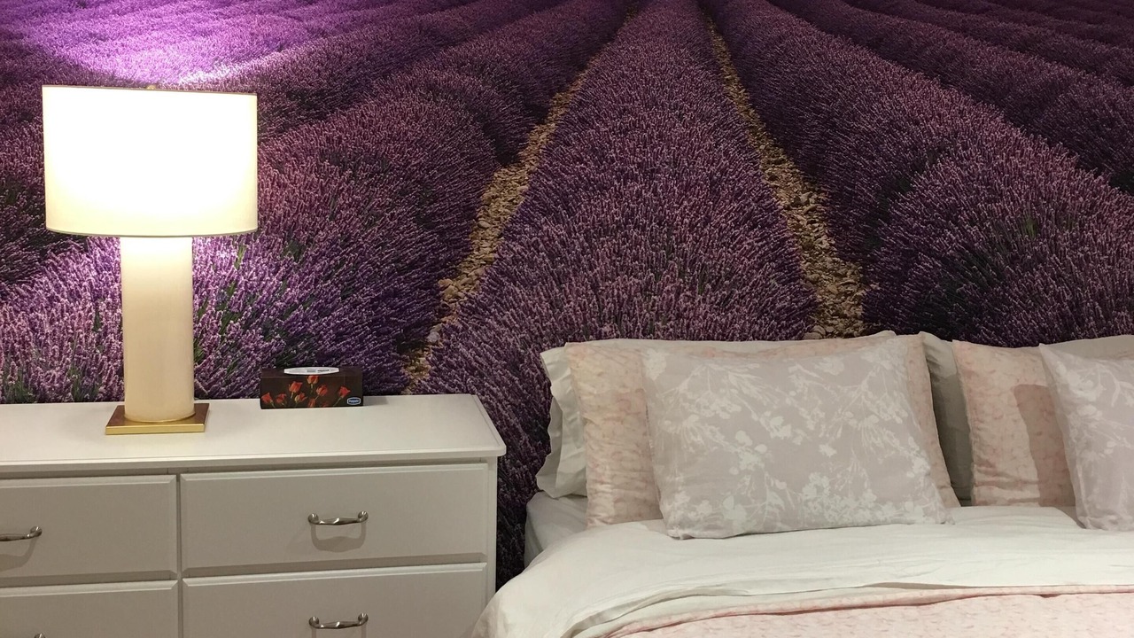 Photo of Bedroom in Trefann Court