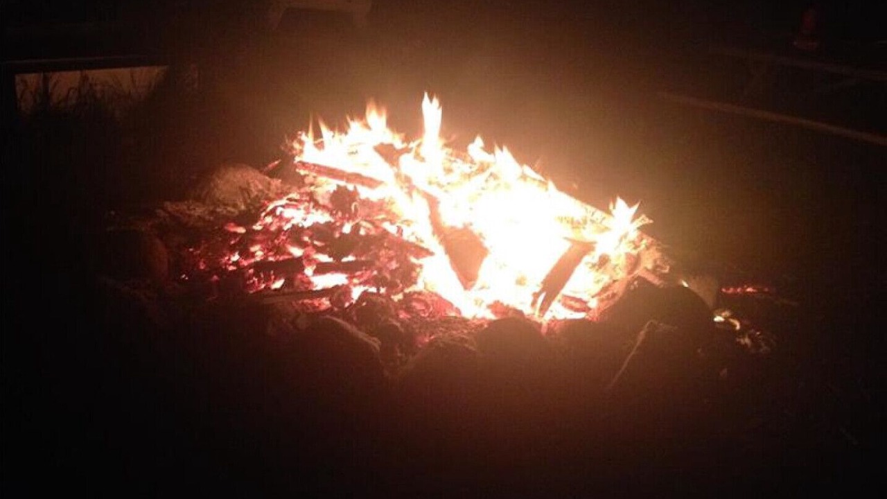 Photo of Others in Otonabee-South Monaghan