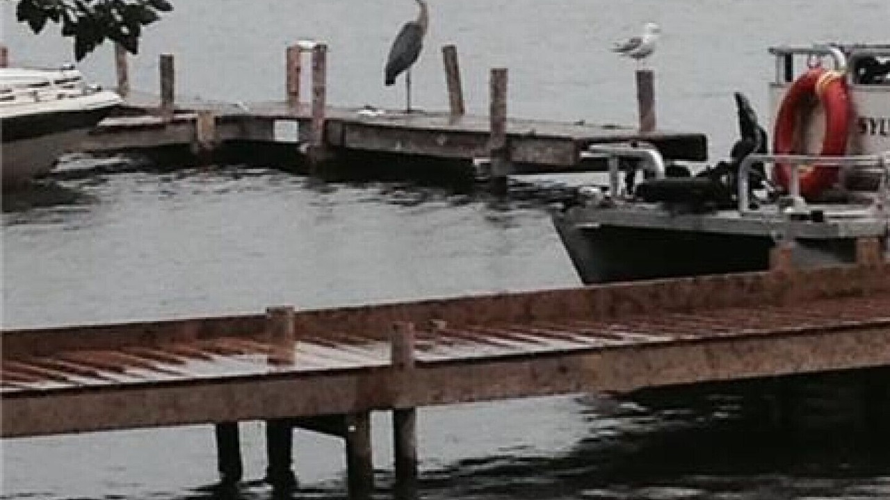 Photo of Others in Otonabee-South Monaghan