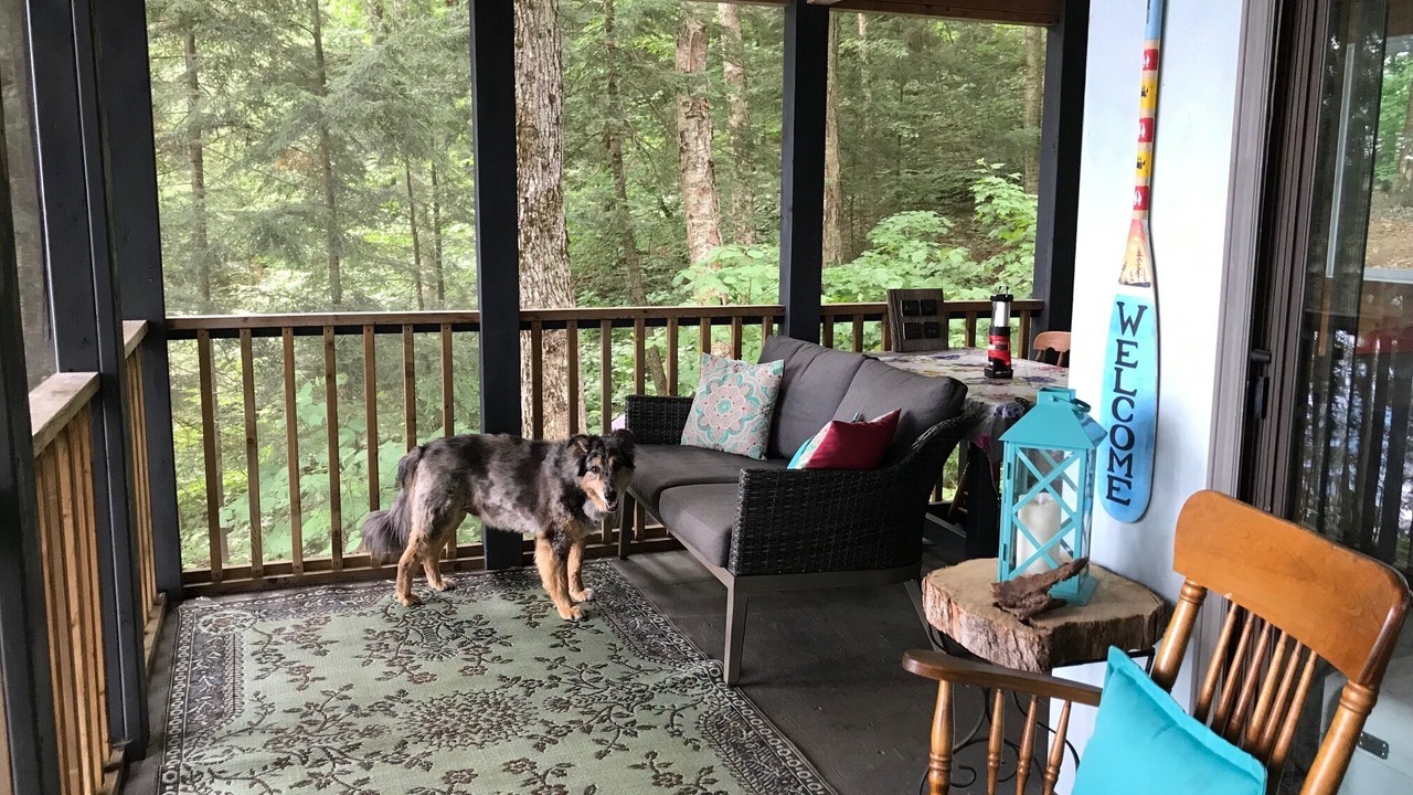 Photo of Outdoor in Lake of Bays