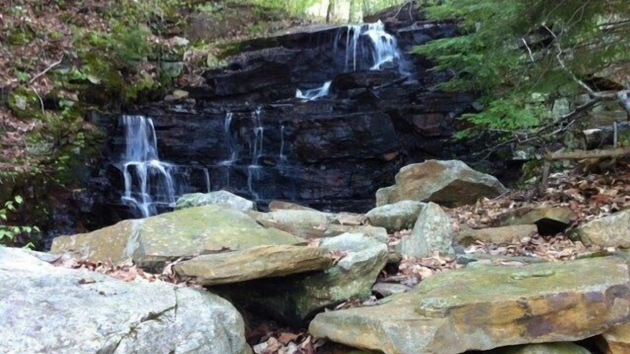 Photo of Others in Lake of Bays